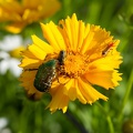 Gite à bâbord