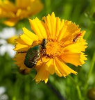 Gite à bâbord